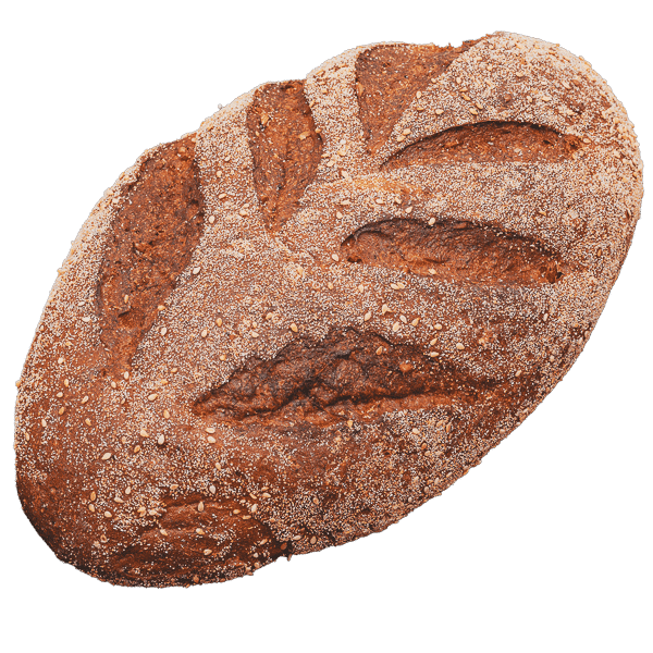 FitBerry Brot